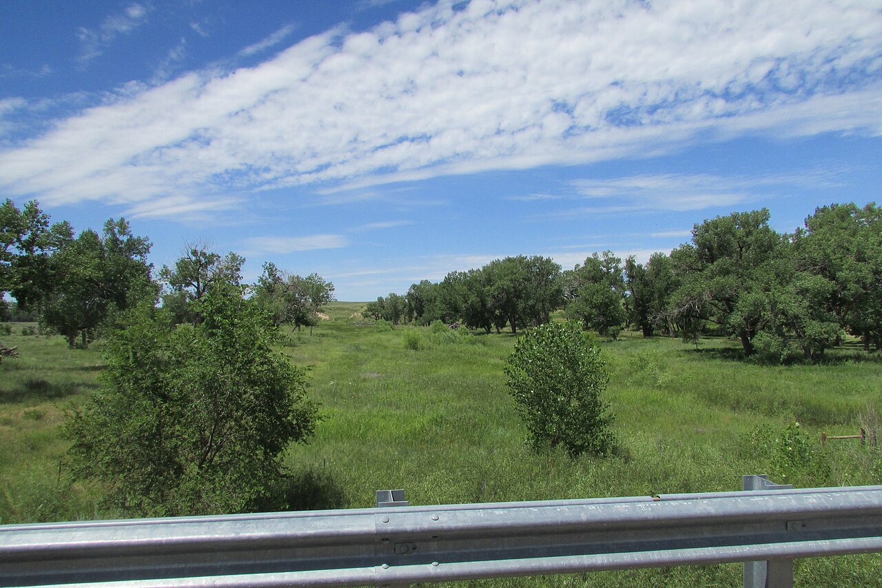 Narrowleaf willow: Arikaree River at the location of the Battle of Beecher's Island near Wray, Colorado
