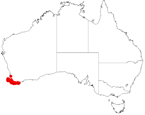 Scaevola microphylla: Scaevola microphylla occurrence data downloaded from Australasian Virtual Herbarium 12 May 2019