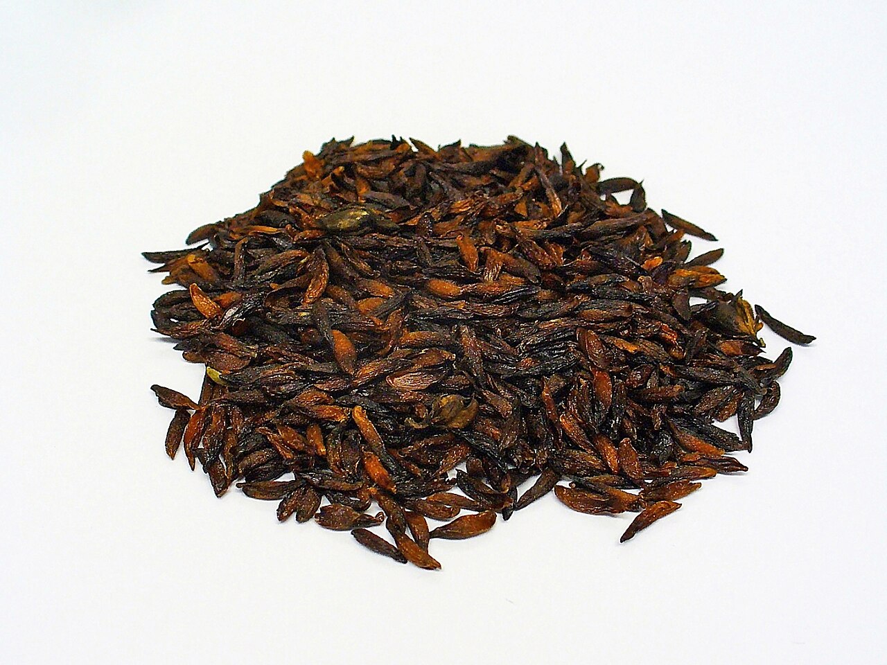 Schoenocaulon officinale: Schoenocaulon officinale , Melanthiaceae, Cebadilla, seeds.