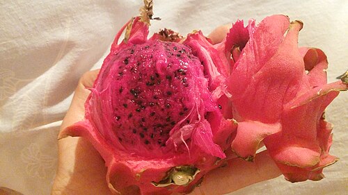Belle of the Night: China: Yunnan, Baihualin