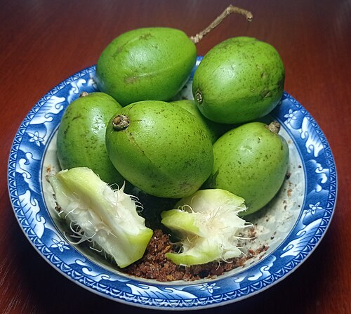 Jewish plum: Ambarella fruits, also known as Golden Apple or Hog Plum, scientifically classified as Spondias dulcis. ဂွေးသီး