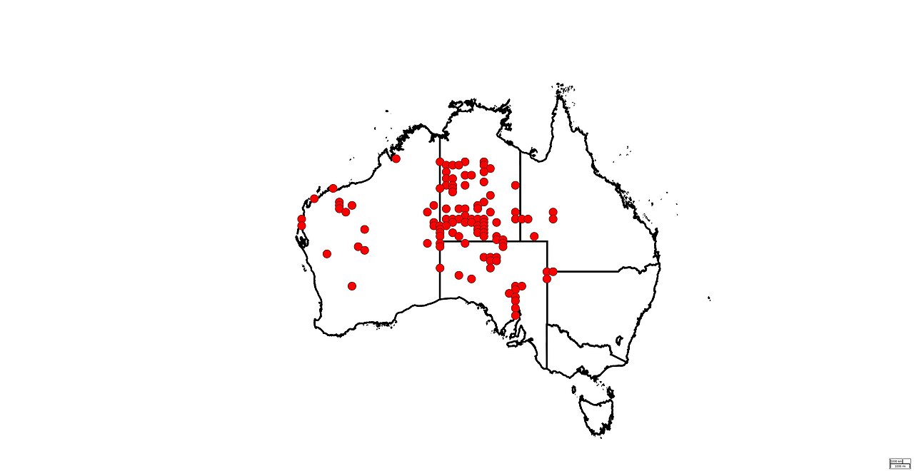 Stackhousia clementii: ALA Distribution Map for stackhousia clementii