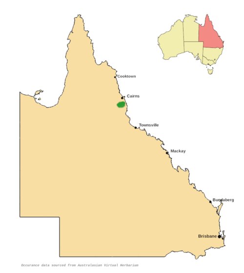 Steganthera australiana: Distribution of Steganthera australiana is restricted to a small area to the south and southwest of Cairns, Queensland