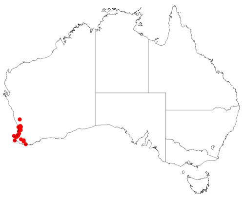 Nodding tiurndin: Tribonanthes brachypetala occurrence data downloaded from Australasian Virtual Herbarium on 12 May 2017