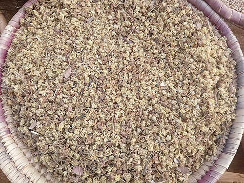 Puncturevine: Dried Tribulus Terrestris at Bakin Dogo Market, Kaduna North