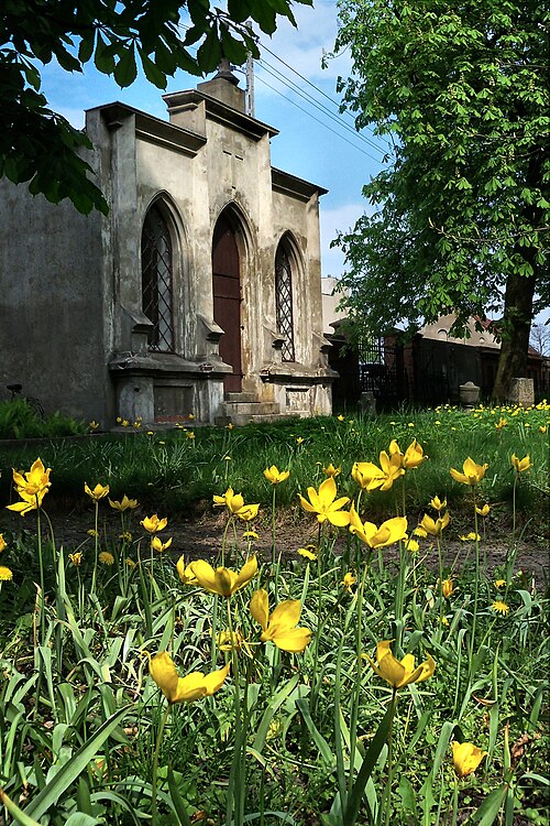 Wild tulip: Wschowa, kaplica grobowa rodziny Steiner, XIX