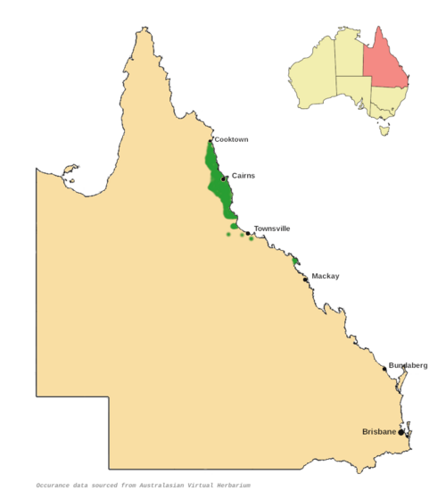 Tetra beech: Wilkiea pubescens distribution map