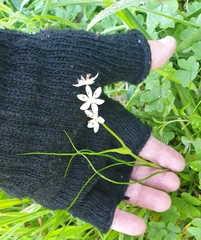 Wurmbea dioica (Wurmbea dioica)